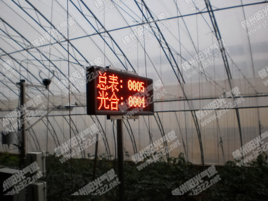 VS廠勞力士蠔式恒動系列m126000-0009 36m 氣球